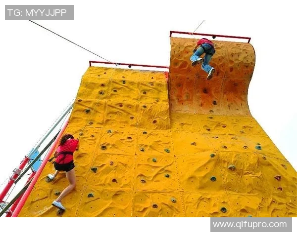 武汉攀岩队的快攻策略与深度解析攀岩运动的魅力与挑战实时数据